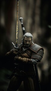 the_witcher